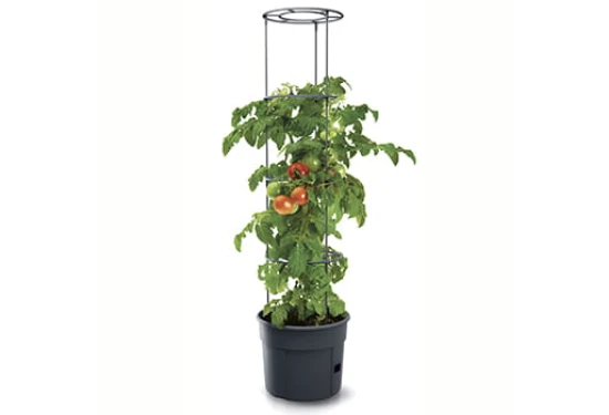 Tomatkruka för odling utomhus 12 liter